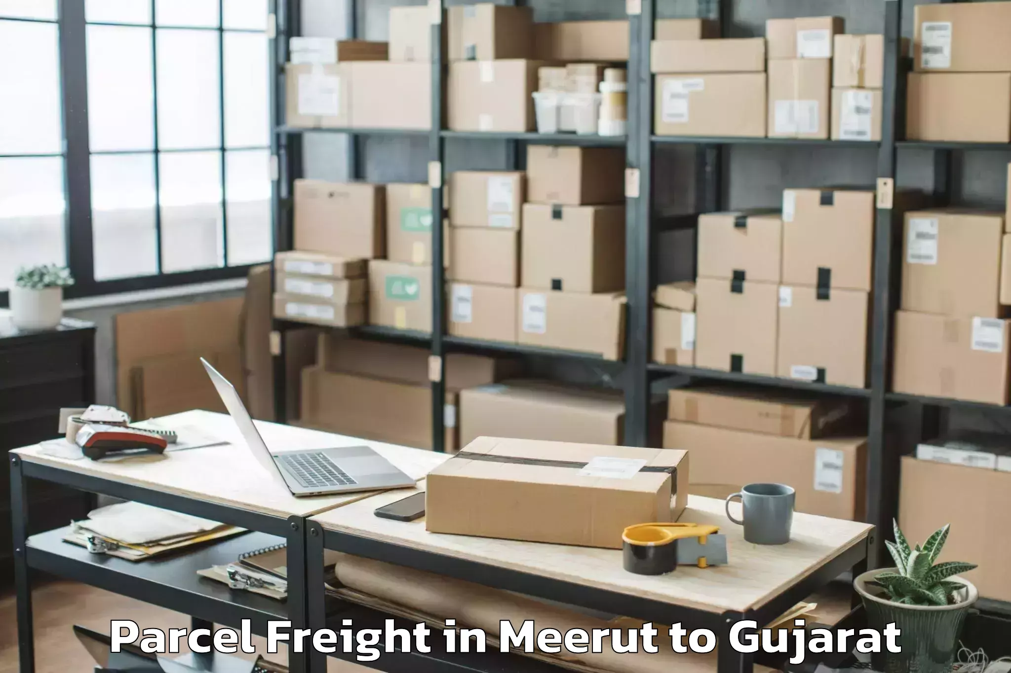 Professional Meerut to Pandit Deendayal Petroleum Uni Parcel Freight